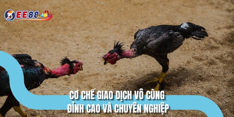 Cơ chế giao dịch vô cùng đỉnh cao và chuyên nghiệp