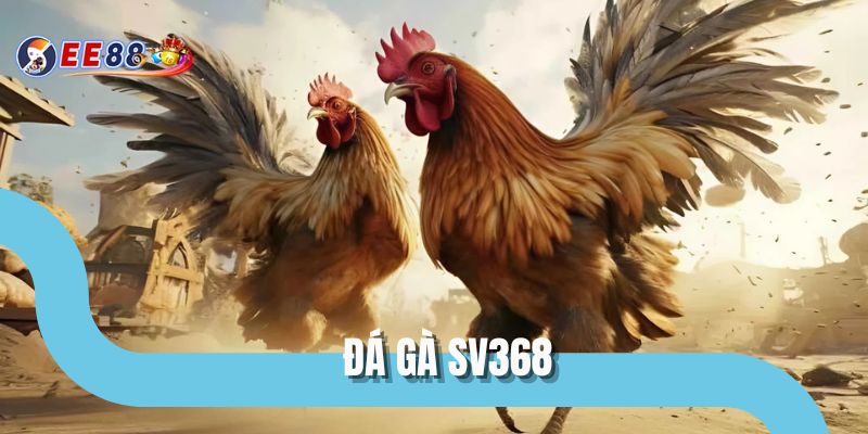 Đá Gà SV368 - Cùng EE88 Tìm Hiểu Những Hình Thức Chơi Hấp Dẫn