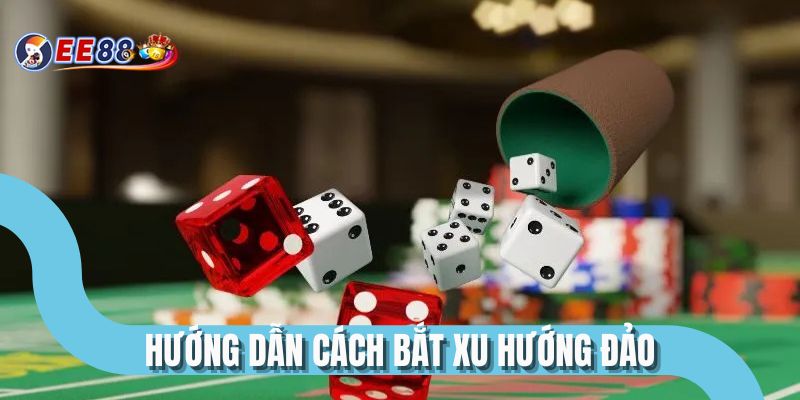 Hướng dẫn cách bắt xu hướng đảo