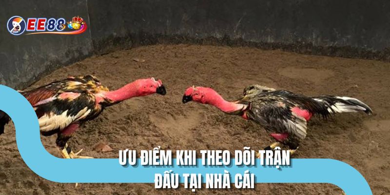 Ưu điểm khi theo dõi trận đấu tại nhà cái