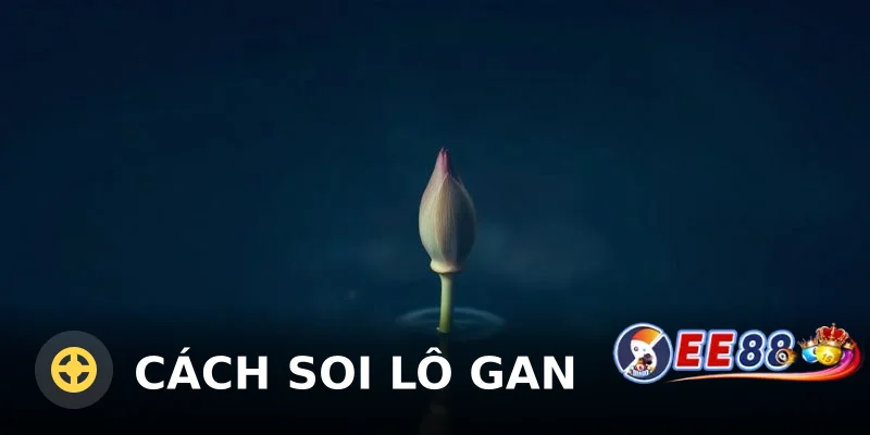 Cách Soi Lô Gan Miền Bắc Chuẩn Xác Nhất Từ Cao Thủ